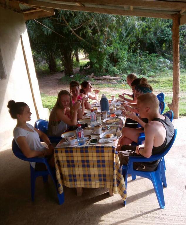 Wli Waterfalls Inn Wli Afegame Zewnętrze zdjęcie